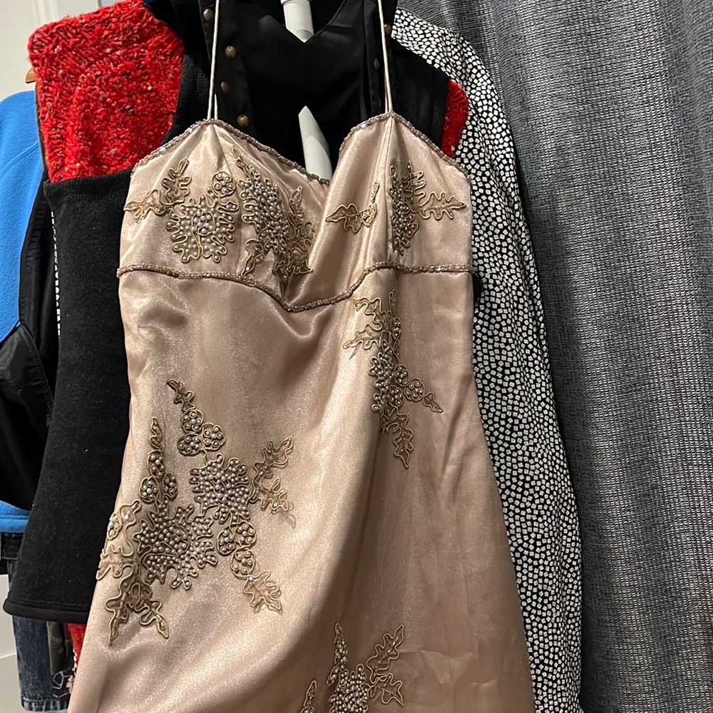 Sue Wong Nocturne dress